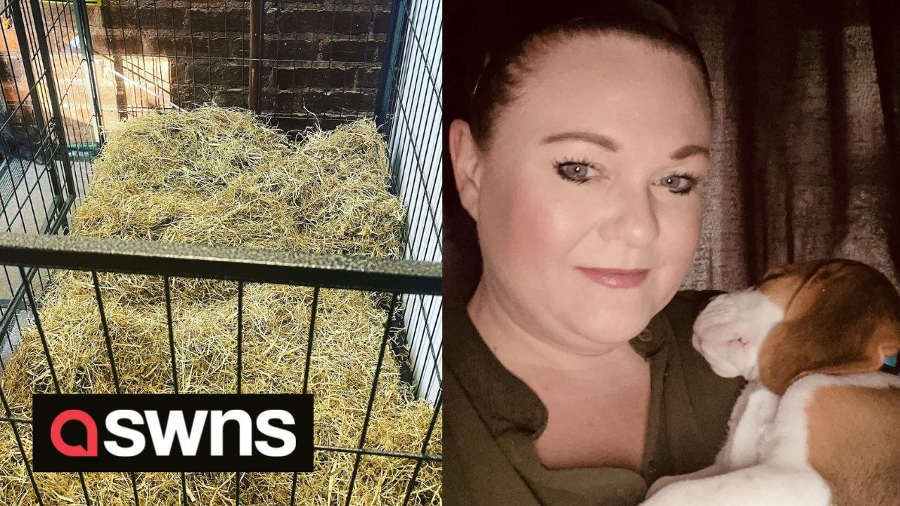 UK woman spends 24 hours in dog crate to educate others on animal testing