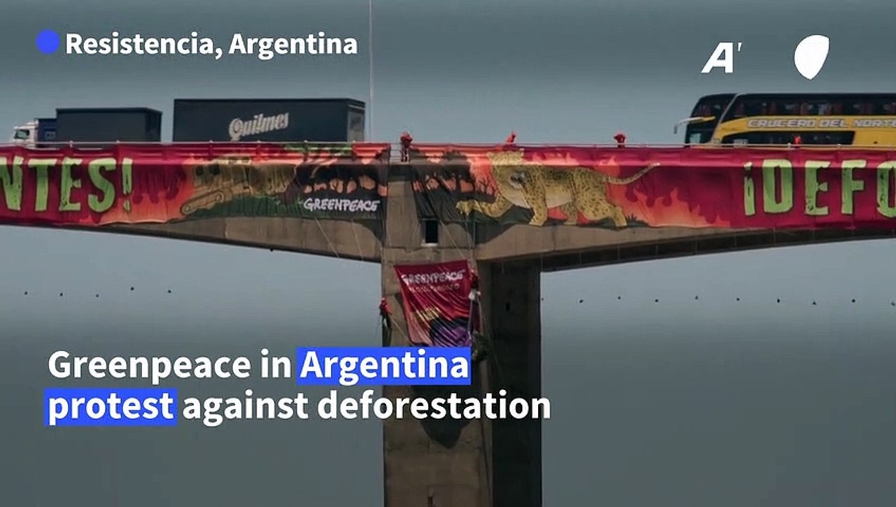 Argentina: Greenpeace protest deforestation to...