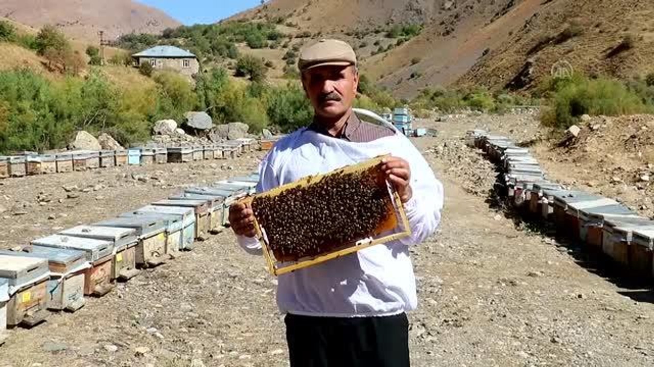 Vanlı kadın arıcı, kovan sayısını 4 yılda 40'tan 350'ye çıkardı (1)