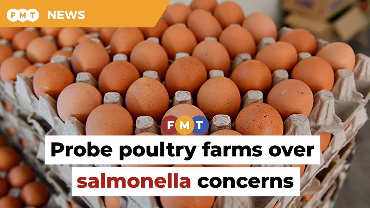 Probe all poultry farms over food safety standards, says CAP