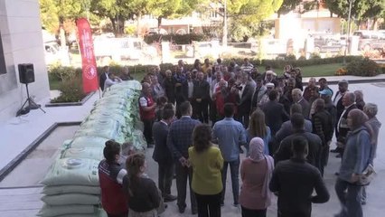 Çiftçilere yerli tohumluk buğday dağıtıldı