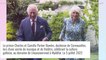 Charles III et la reine consort Camilla face à une longue séparation, les raisons dévoilées