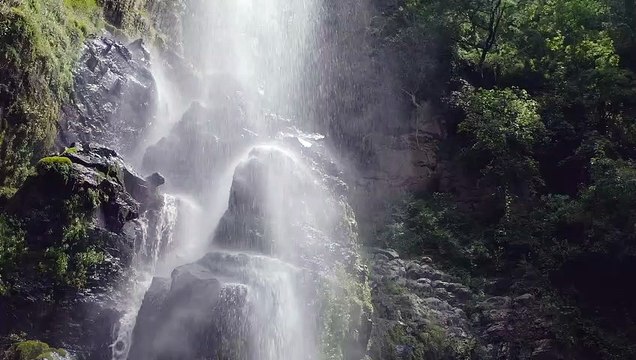 mixkit-waterfall-in-forest-2213-medium