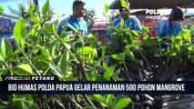 HUT Humas Polri ke-71, Bid Humas Polda Papua Diwarnai Penanaman 500 Mangrove