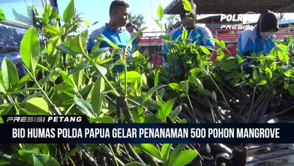 HUT Humas Polri ke-71, Bid Humas Polda Papua Diwarnai Penanaman 500 Mangrove