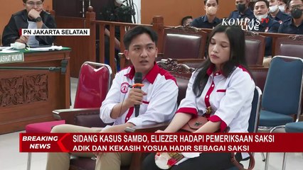 Pihak Keluarga Brigadir Yosua jadi Saksi di Persidangan, Meringankan atau Memberatkan Eliezer?