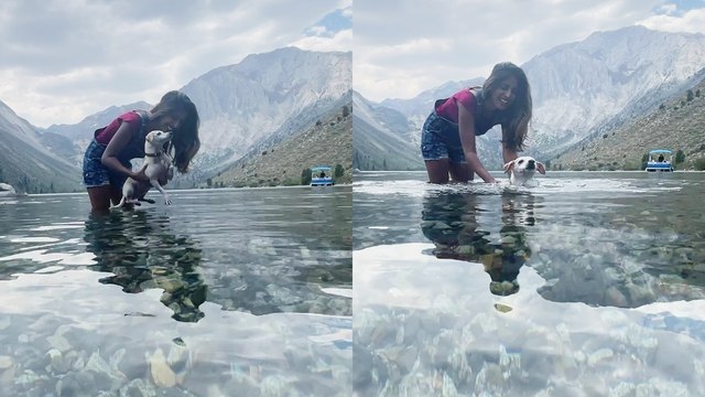 Cute dog swims for the first time and paddles like a pro!