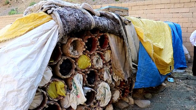 Vanlı kadın arıcı, kovan sayısını 4 yılda 40'tan 350'ye çıkardı