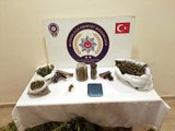 Bursa'da evlerinin bahçesinde uyuşturucu yetiştiren iki şüpheli yakalandı