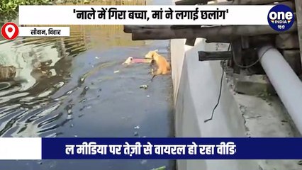 Viral Video : नाले में गिरा बच्चा, जान बचाने के लिए मां ने भी लगाई छलांग