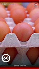 شراء البيض الكسر لمواجهة ارتفاع الأسعار.. احذر التسمم