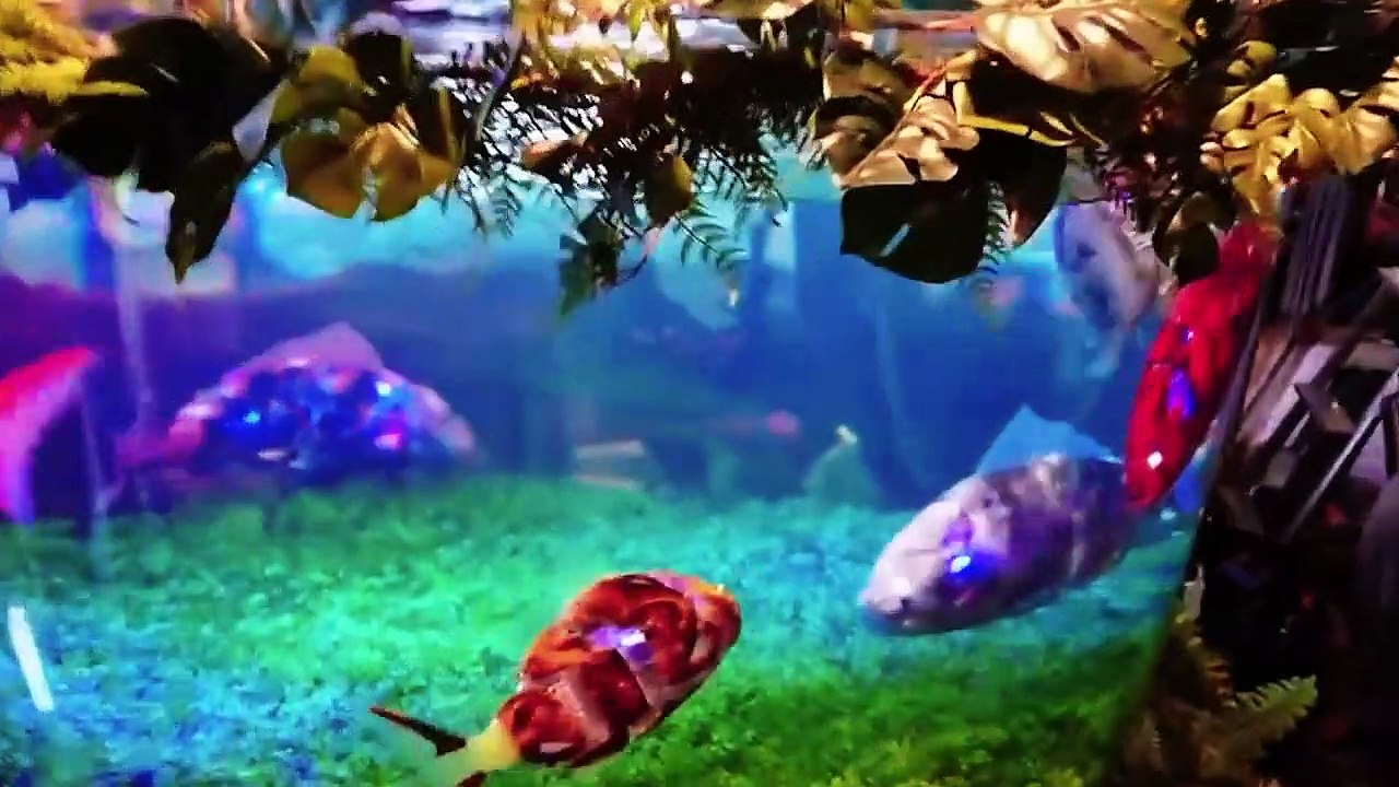 Staying at the World's First Robot Hotel!  (Strangest Hotel of Japan)