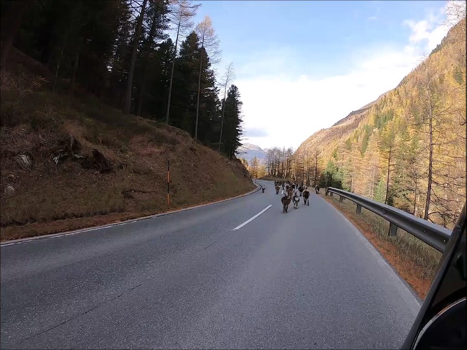 South Tyrol In Autumn (15)