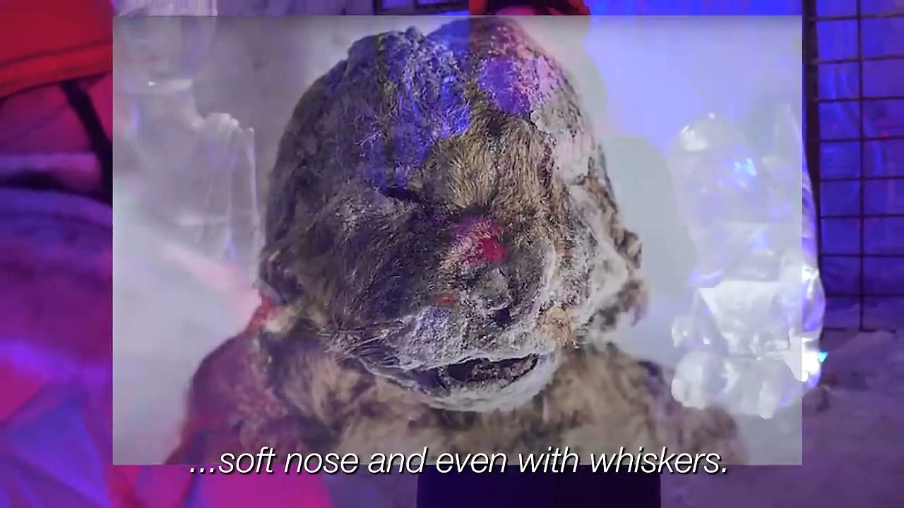 One Day in the Coldest City on Earth (-71°C, -96°F) YAKUTSK / YAKUTIA