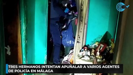 Tres hermanos intentan apuñalar a varios agentes de Policía en Málaga