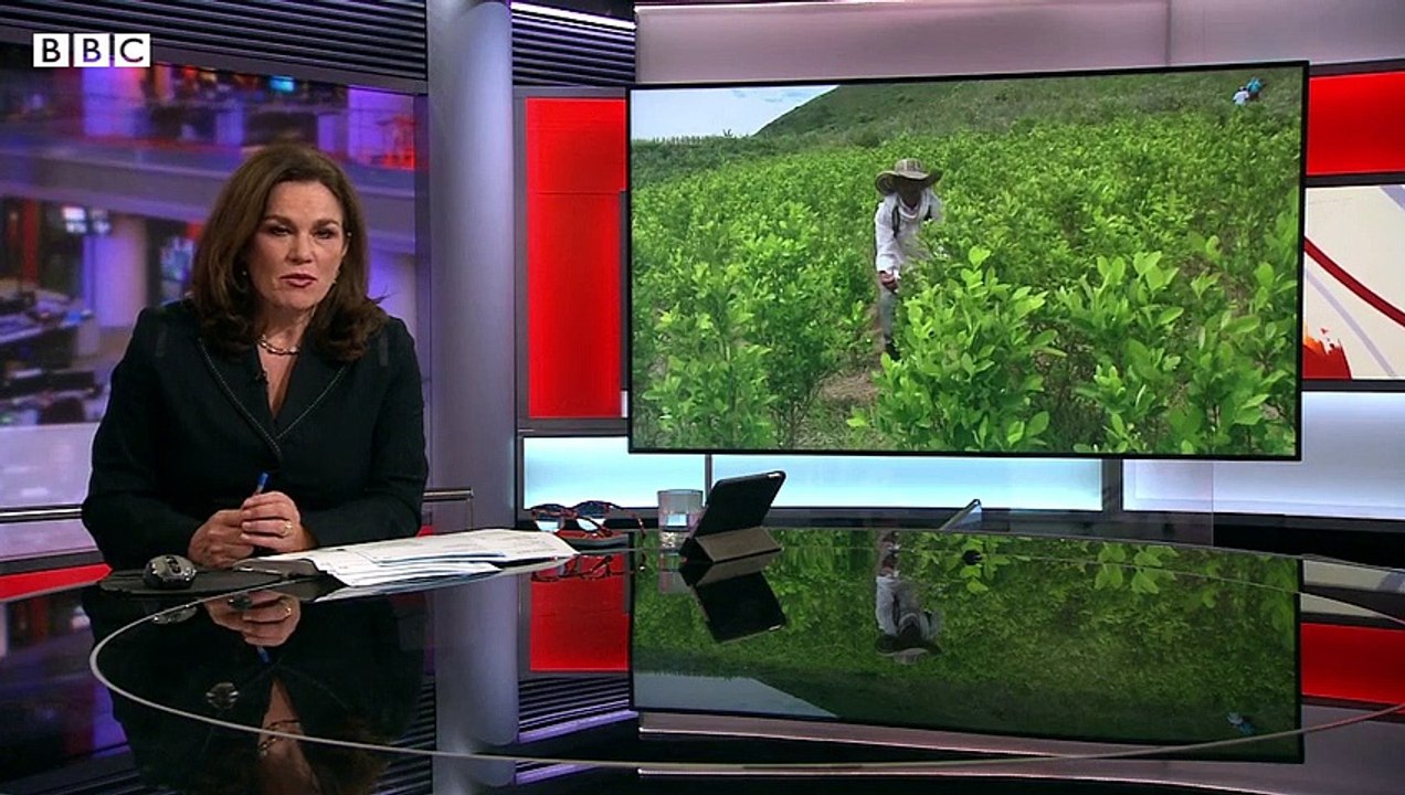 Colombia_breaks_record_for_crop_used_in_cocaine_production,_UN_reports_-_BBC_News.