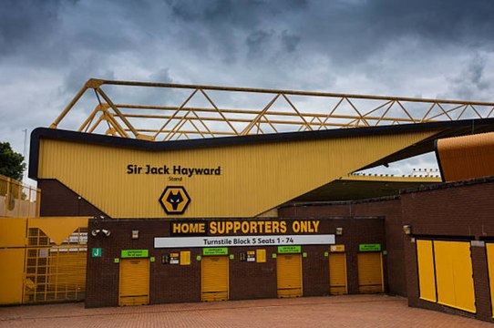 What are the current problems circulating Wolves?