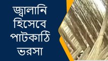 জলপাইগুড়ি: তবে কি এবার সাধারন মানুষের ভরসা পাটকাঠি ! কেন ? জেনে নিন