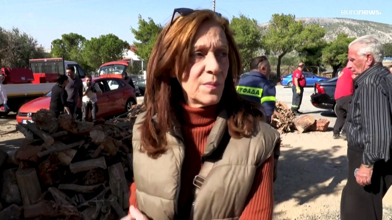 In der Energiekrise gibt's Brennholz von der Stadt