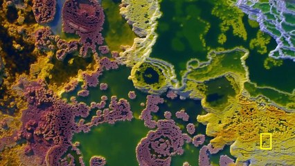 One Strange Rock - Gasp