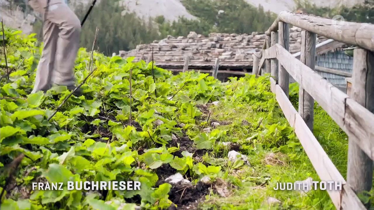 Watzmann ermittelt Staffel 1 Folge 1 HD Deutsch