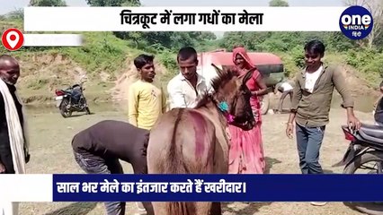 MP के चित्रकूट में लगा गधों का मेला, करोड़ों का कारोबार, सलमान शाहरुख की कीमत सबसे ज्यादा