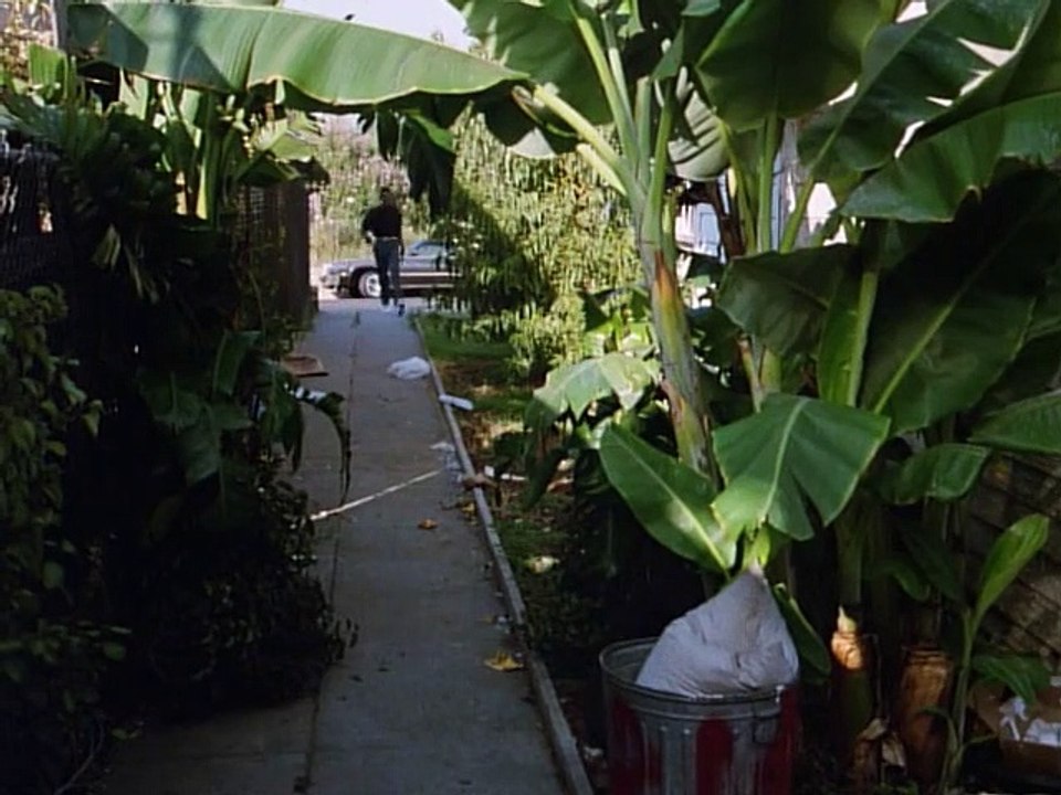 Hunter Staffel 6 Folge 3 HD Deutsch