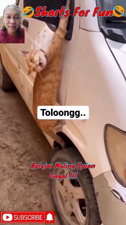 belajar maling spion