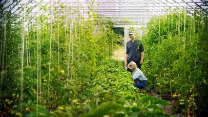 Partisan - Farm des Bösen Staffel 1 Folge 3 HD Deutsch