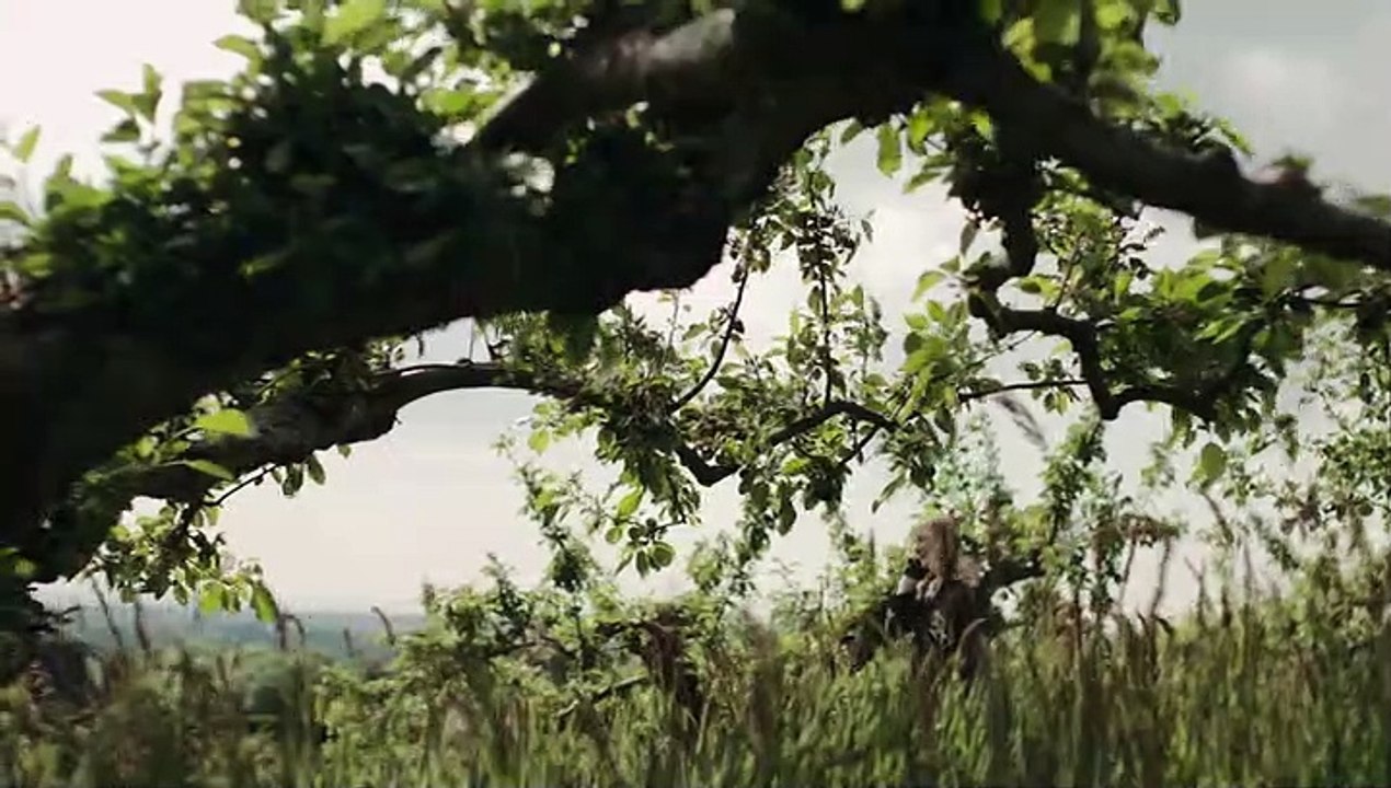 Paranoid Staffel 1 Folge 4 HD Deutsch