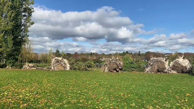 Les dégâts après la tempête au parc Saint-Pierre d'Amiens