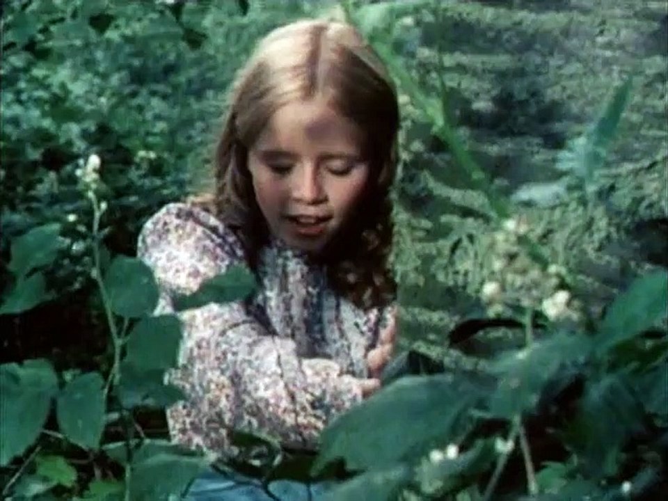 Black Beauty Staffel 2 Folge 13 HD Deutsch