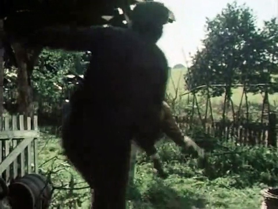 Black Beauty Staffel 2 Folge 14 HD Deutsch