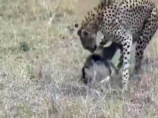 الدفاع عن النفس لا يحتاج سنا معينا !!! لكن النتيجة مؤلمة   