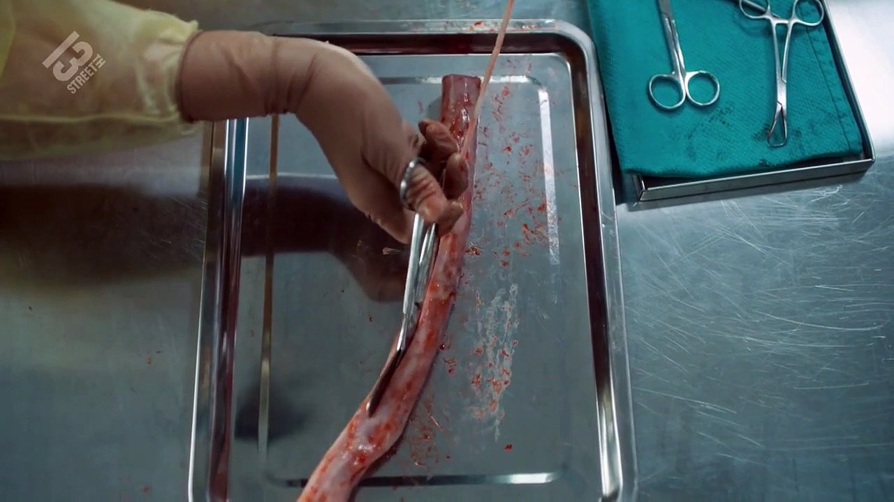 Coroner Staffel 3 Folge 10 HD Deutsch