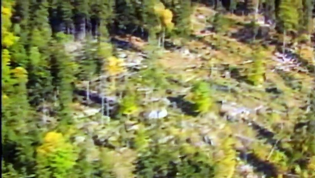 Drei Jahrzehnte - Ein Wir Staffel 1 Folge 1 HD Deutsch