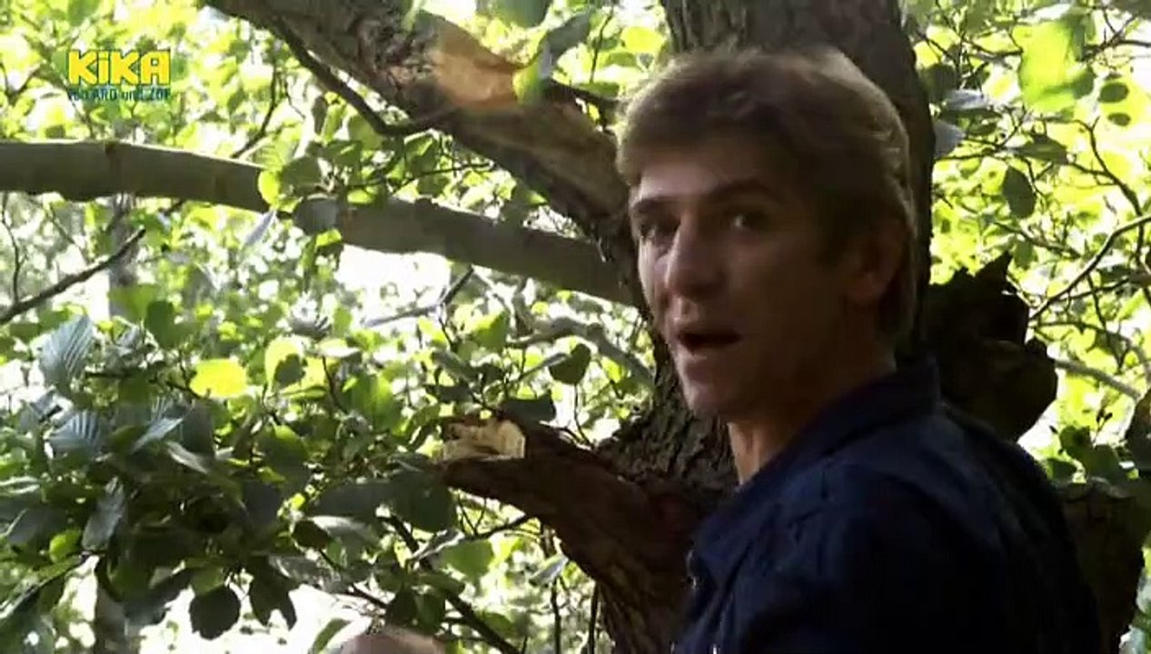 Löwenzahn Staffel 30 Folge 1 HD Deutsch