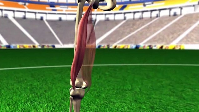 Lesões no futebol: isquiotibiais