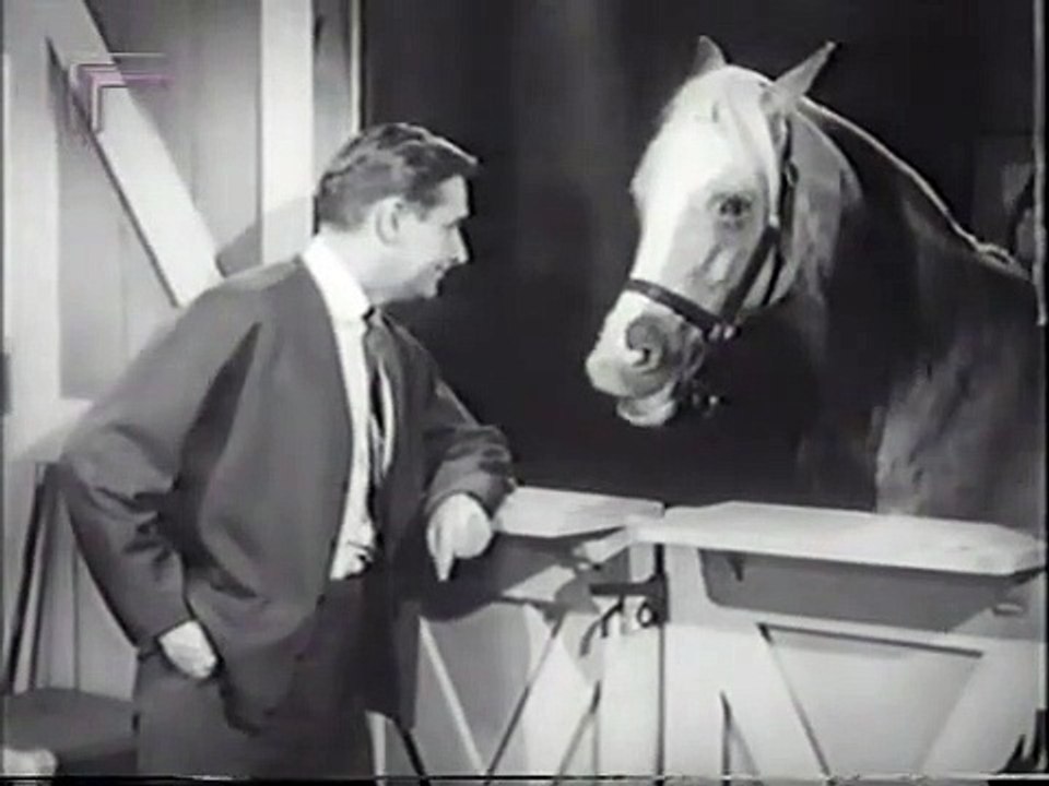 Mr. Ed Staffel 4 Folge 1 HD Deutsch