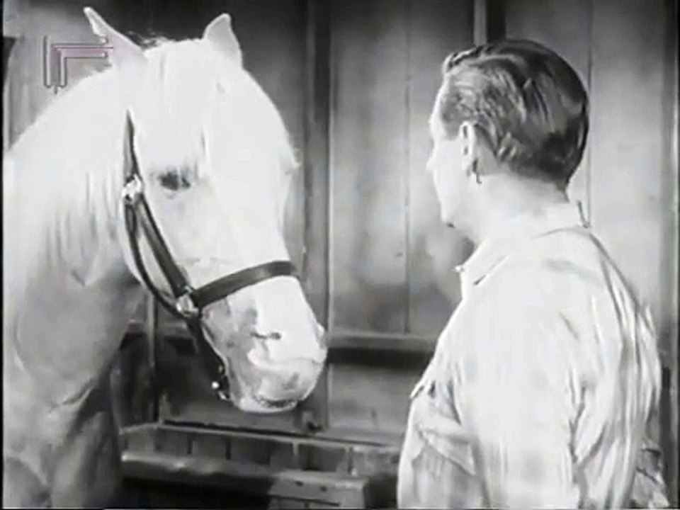 Mr. Ed Staffel 4 Folge 6 HD Deutsch
