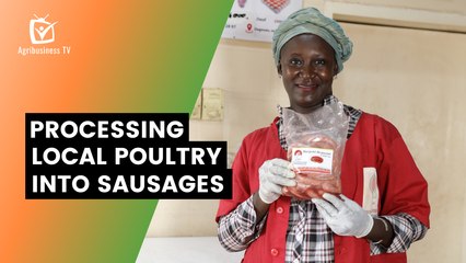 Burkina Faso: Processing local poultry into sausages