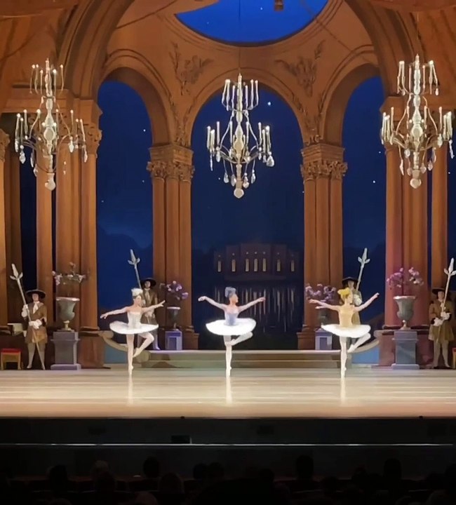 20221023-SleepingBeauty 3act misc