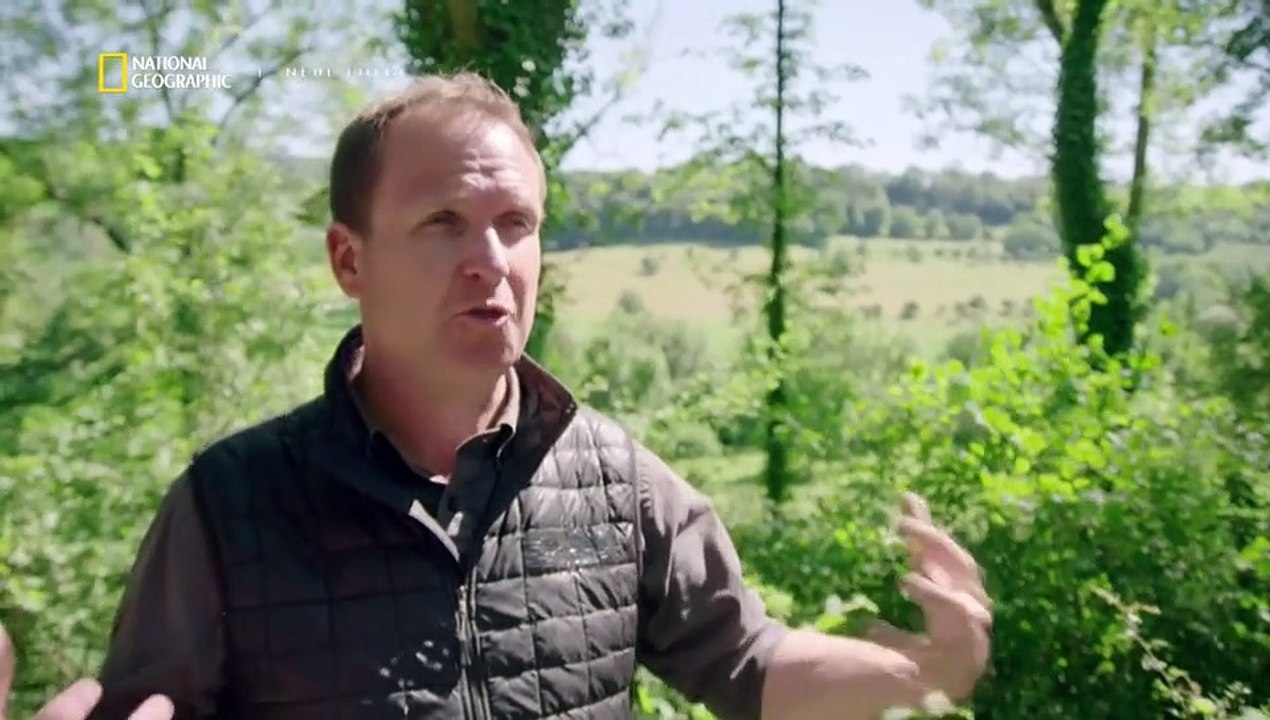 Nazi-Bauwerke Utopie und Größenwahn Staffel 6 Folge 5 HD Deutsch