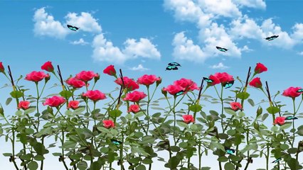 Couple Who Built Their Home Inside A Greenhouse Is Living A Dream Life Now