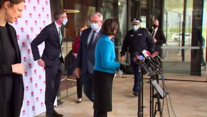 NSW Health Minister pulls out of state election