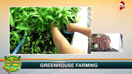 _GREENHOUSE FARMING_ Mag-Agri Na Tayo! Ep-40