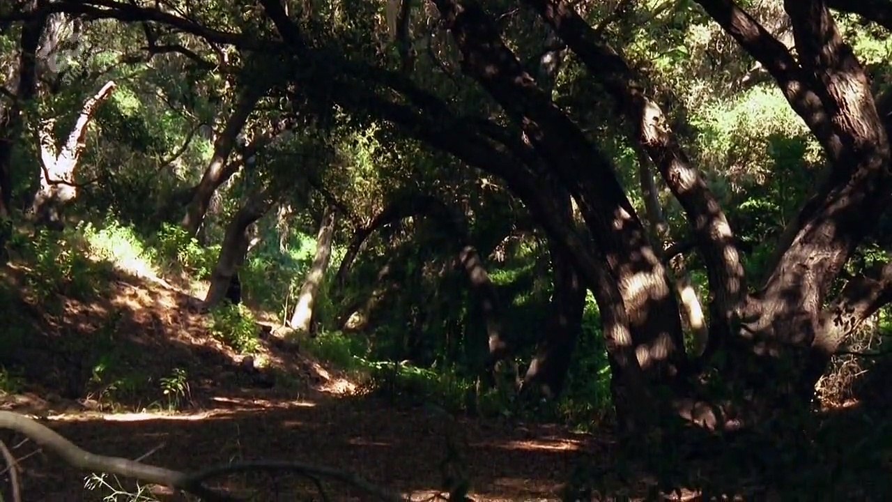 Deckname Jane Doe Staffel 1 Folge 9 - Part 01 HD Deutsch