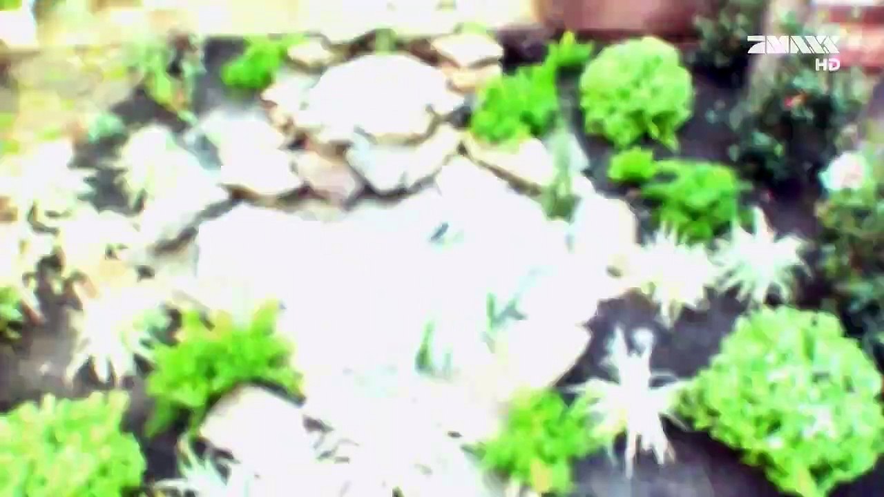 Yardcore - Nur die Harten bekommen einen Garten Staffel 2 Folge 5 HD Deutsch