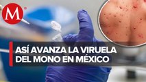 Viruela del mono se extiende por todo México con 2 mil 654 positivos