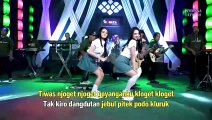 Efek Gedang Klutuk - Duo Sexy (Official Live Music)